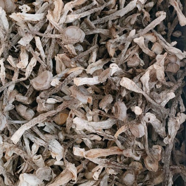 精品鹿茸菇中条优质质量保证价格实惠诚信经营欢迎咨询