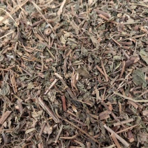 绞股蓝绞股兰优质除尘产地直销一手货源批发各种中药材