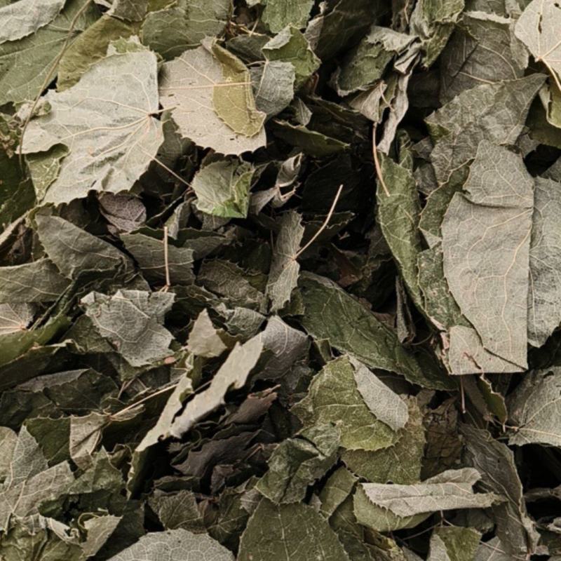 淫羊藿新淫羊藿甘肃淫羊藿纯叶小叶泡水淫羊藿假一赔十