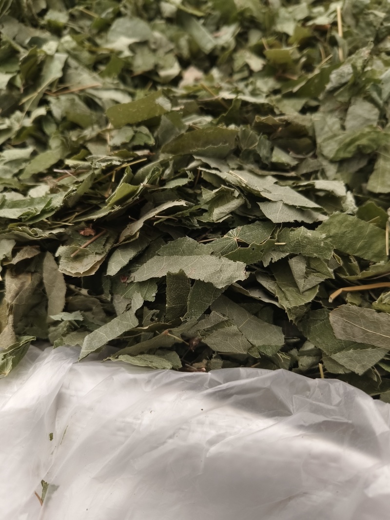 淫羊藿新淫羊藿甘肃淫羊藿纯叶小叶泡水淫羊藿假一赔十