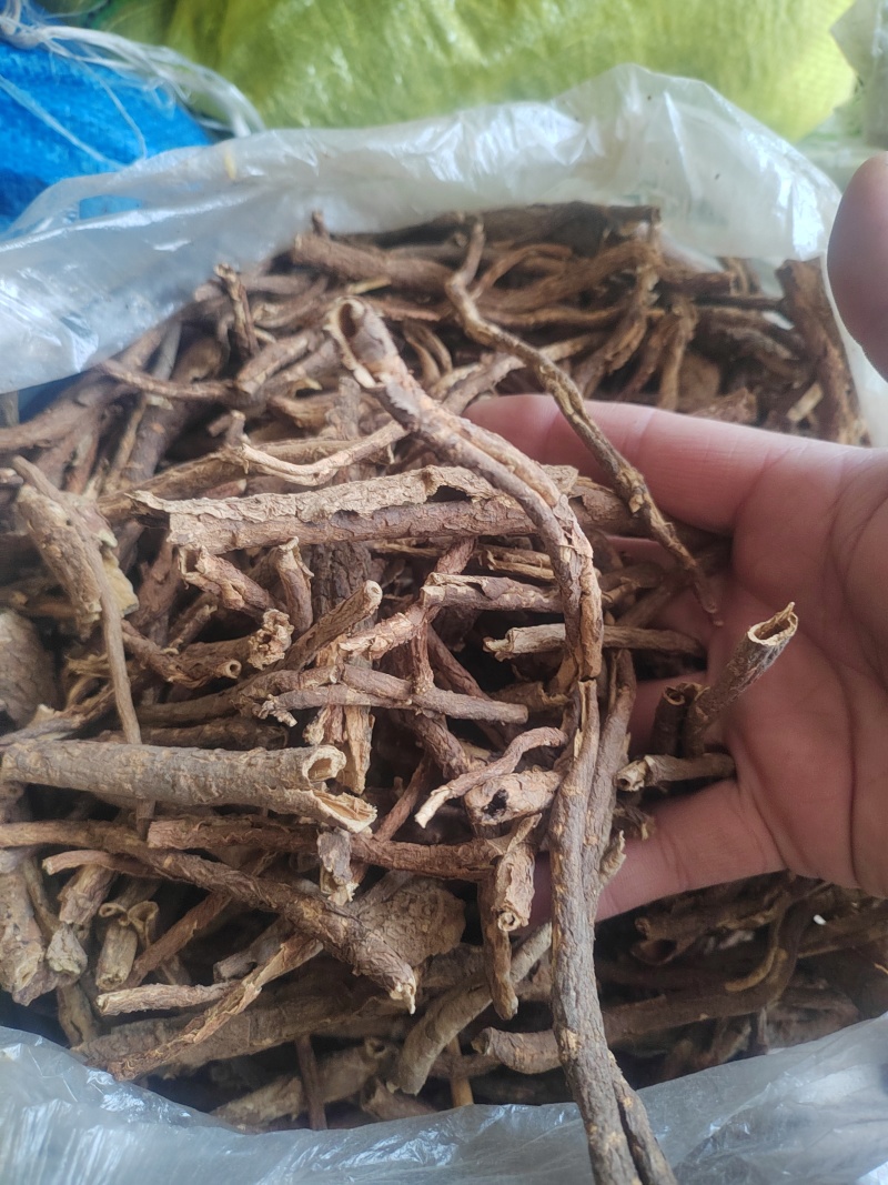 野杠柳的根皮，香加皮，北五加皮，种子也采的有。