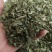 罗布麻叶新罗布麻颜色青干净无杂罗布麻叶大货批发零售