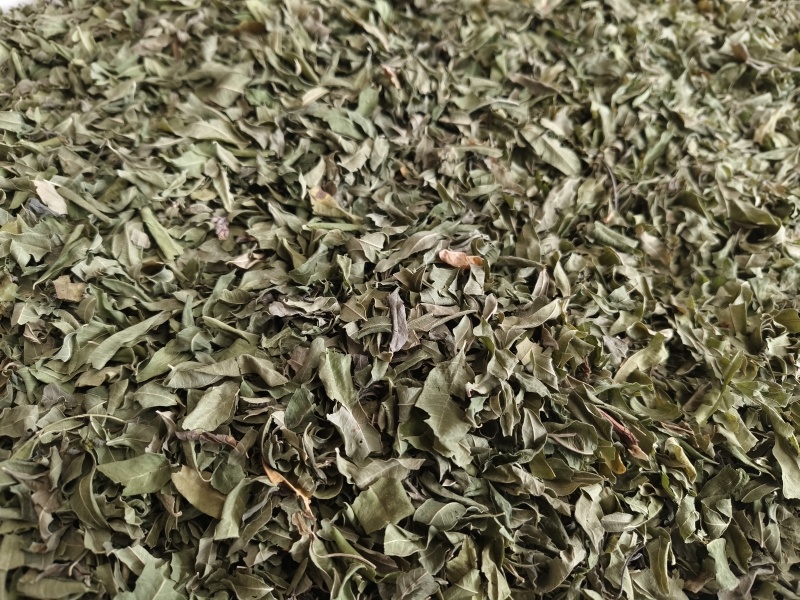 罗布麻叶新罗布麻颜色青干净无杂罗布麻叶大货批发零售