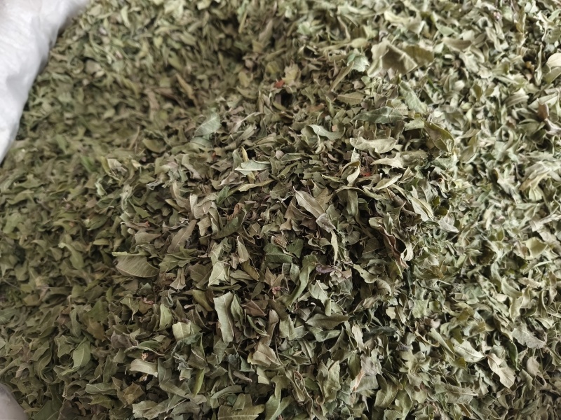 罗布麻叶新罗布麻颜色青干净无杂罗布麻叶大货批发零售