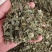 罗布麻叶新罗布麻颜色青干净无杂罗布麻叶大货批发零售