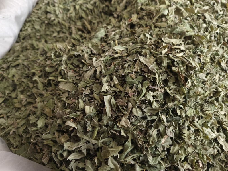 罗布麻叶新罗布麻颜色青干净无杂罗布麻叶大货批发零售