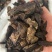 【焦作精品】生地黄片可视频看货量大从优，欢迎咨询