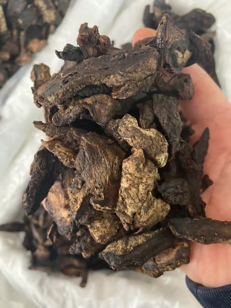 【焦作精品】生地黄片可视频看货量大从优，欢迎咨询
