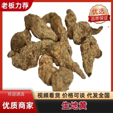 【精品】生地黄可视频看货一手货源量大从优，欢迎咨询