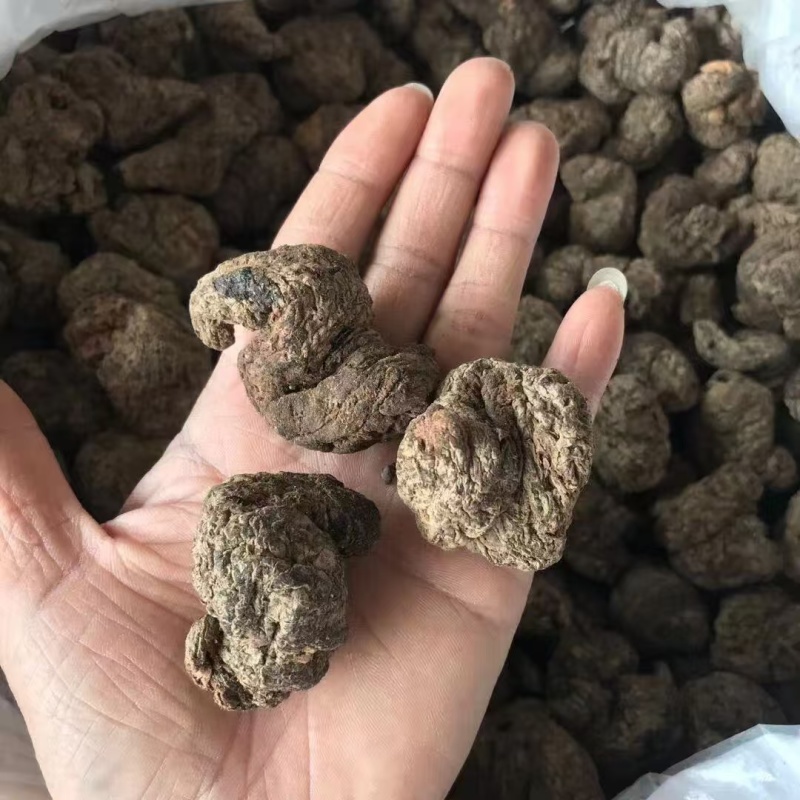 【精品】生地黄可视频看货一手货源量大从优，欢迎咨询