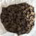 【精品】生地黄可视频看货一手货源量大从优，欢迎咨询