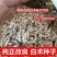 纯新改良白术种子河北安国二年白术籽饱满度好发芽率高