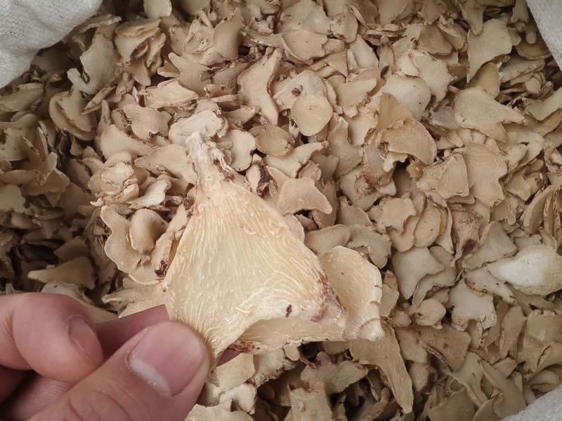 白芨正品白芨三岔白芨新货无硫***假一赔十大货批发零售