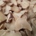 白芨正品白芨三岔白芨新货无硫***假一赔十大货批发零售