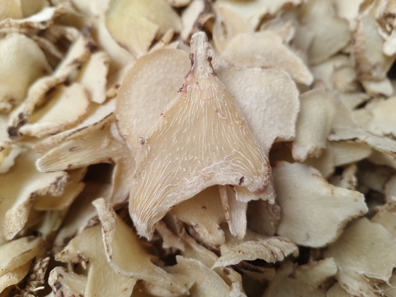 白芨正品白芨三岔白芨新货无硫***假一赔十大货批发零售