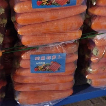 水洗胡萝卜三红胡萝卜无叶品质好规格齐全欢迎选购