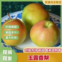 玉露香梨，山西运城，皮薄水份大，颜色好，供大小客商