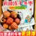 去核圆枣脆干燥脱水原味水果干大包网红零食冻干