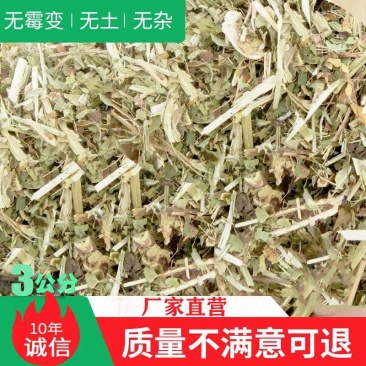 {实力推荐}优质花生秧。量大从优，产地直发。