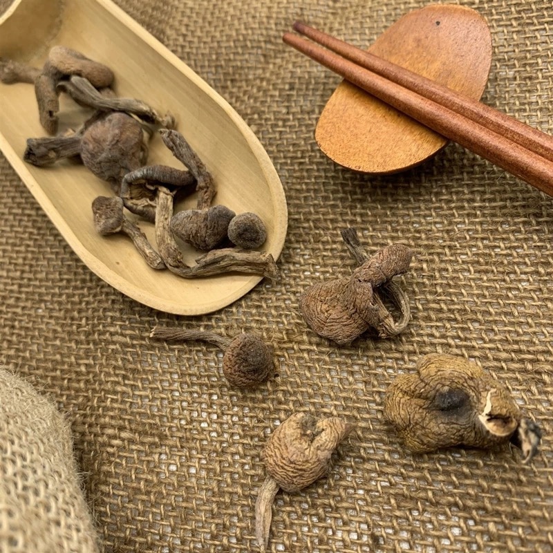 东北纯野生榛蘑