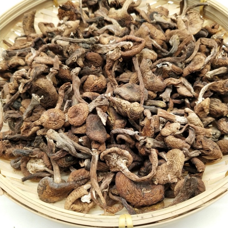 东北纯野生榛蘑