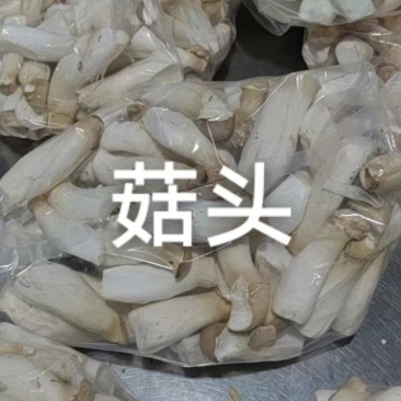 菇头