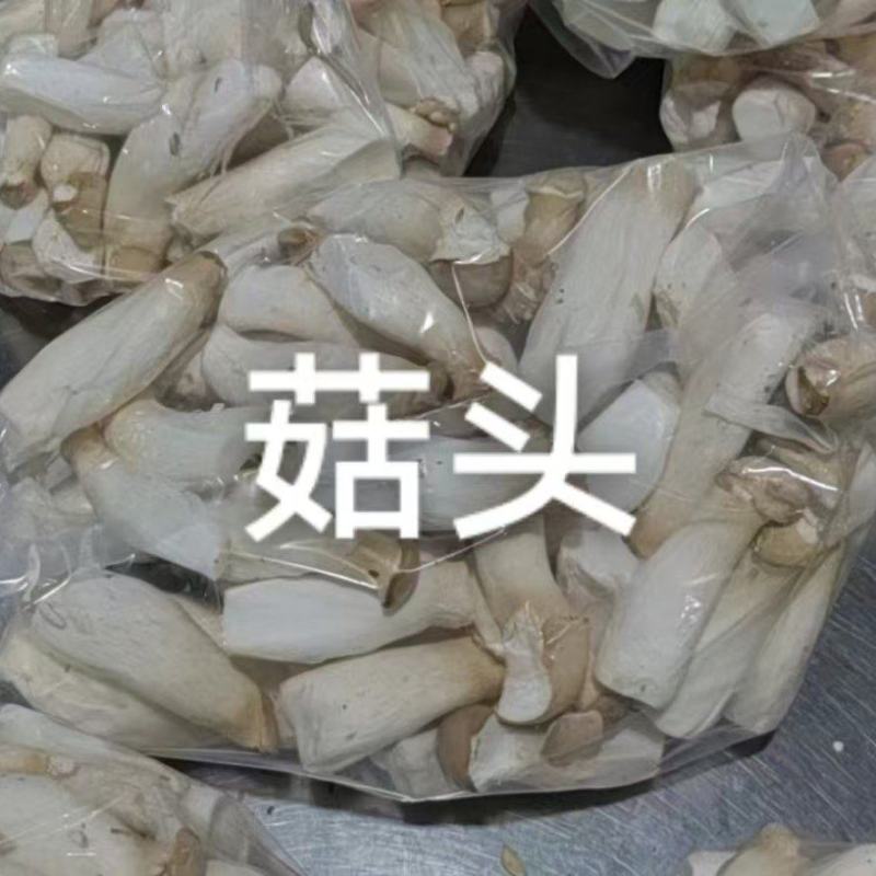 菇头