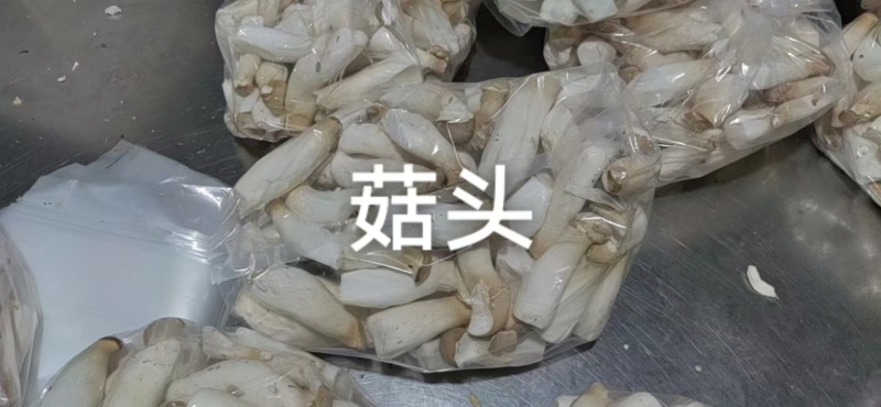 菇头