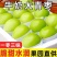 台湾牛奶大青枣脆枣子福建贵妃蜜枣新鲜水果应季现摘