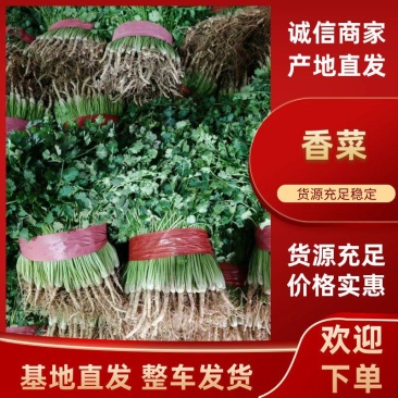 山东聊城铁杆青精品香菜，做工精细。产地直发。价格便宜。