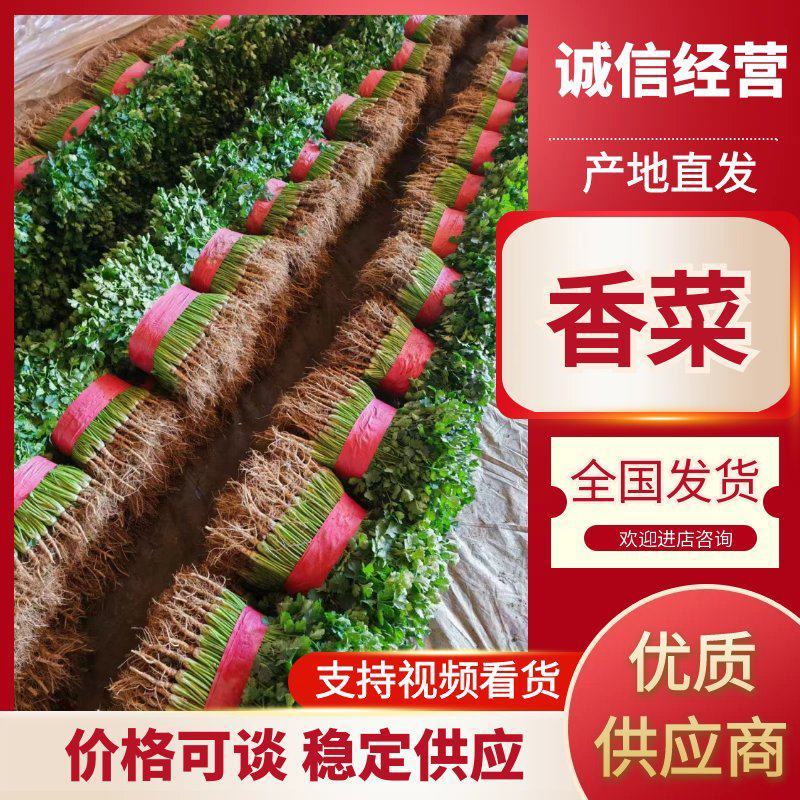 铁杆青香菜！供应电商平台！社区团购！美团！市场等！