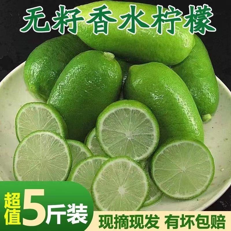 海南无籽香水柠檬新鲜正宗青柠檬奶茶店专用当季大果暴打整箱