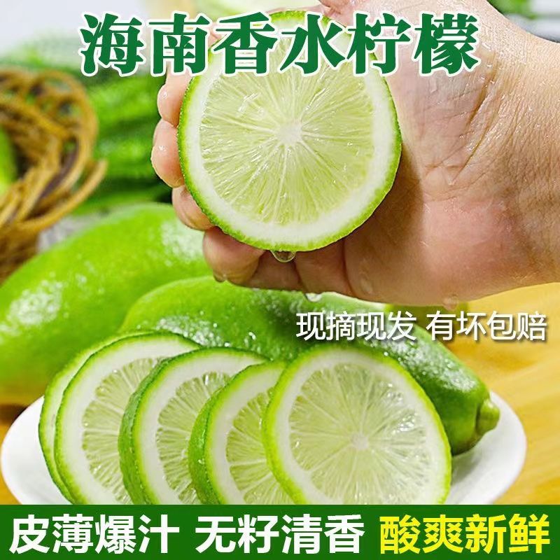 海南无籽香水柠檬新鲜正宗青柠檬奶茶店专用当季大果暴打整箱