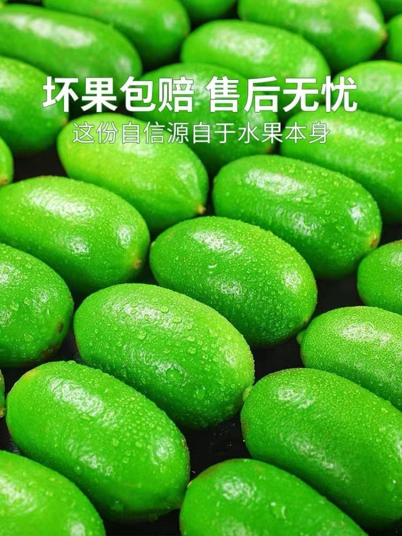 海南无籽香水柠檬新鲜正宗青柠檬奶茶店专用当季大果暴打整箱