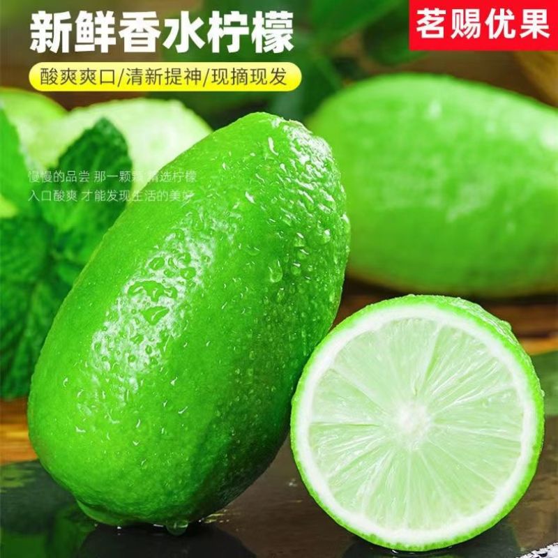 海南无籽香水柠檬新鲜正宗青柠檬奶茶店专用当季大果暴打整箱