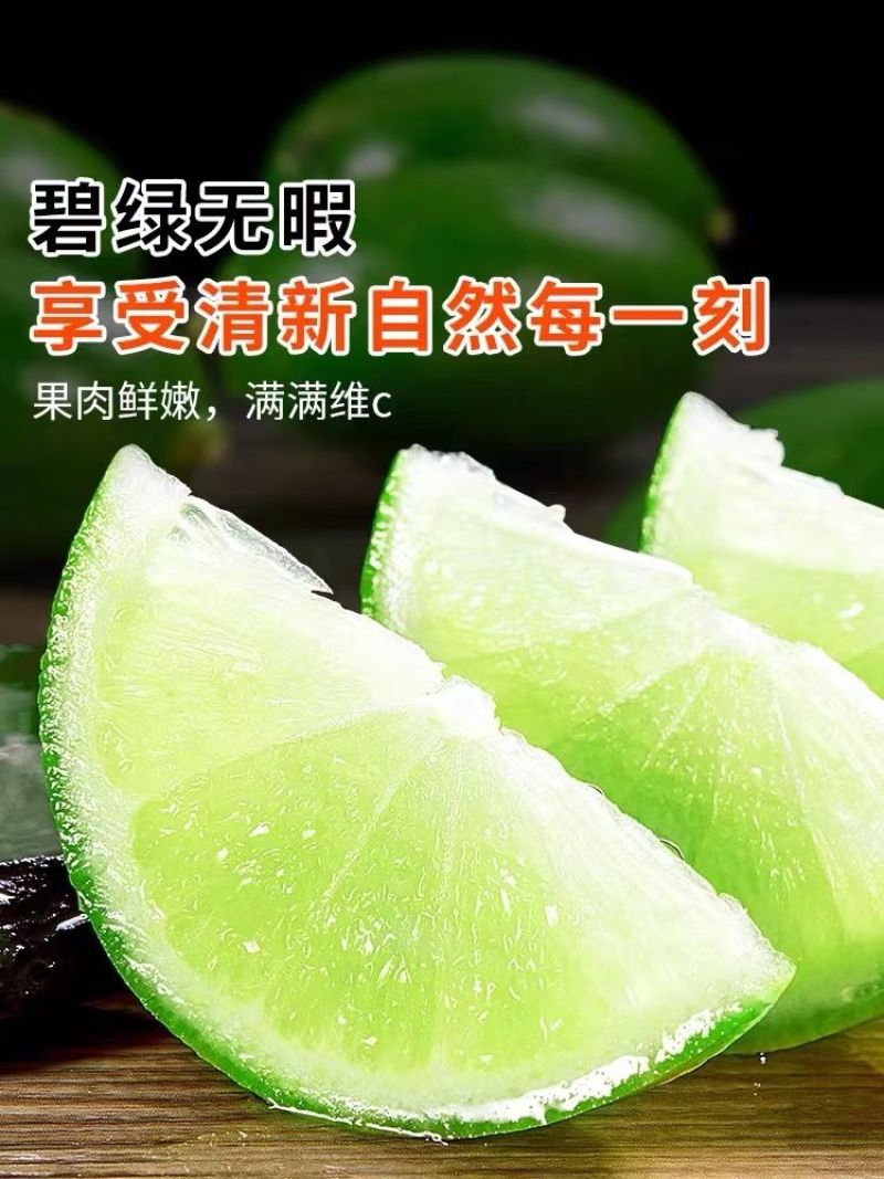 海南无籽香水柠檬新鲜正宗青柠檬奶茶店专用当季大果暴打整箱