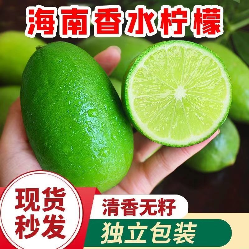 海南无籽香水柠檬新鲜正宗青柠檬奶茶店专用当季大果暴打整箱