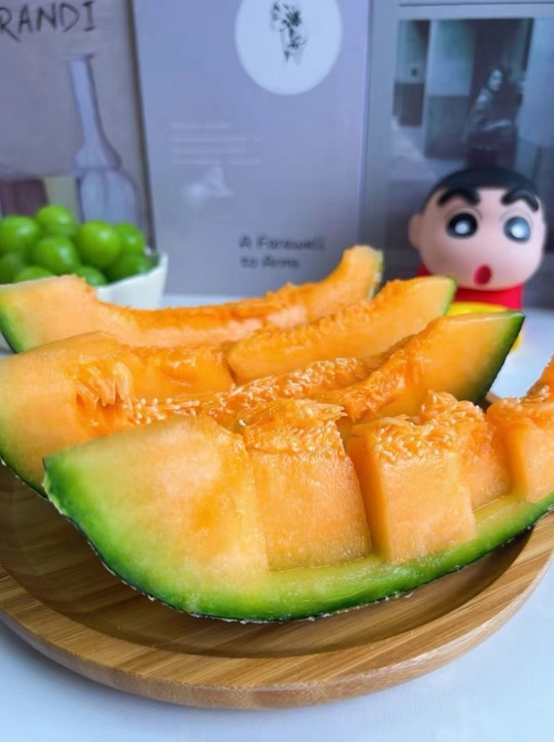 新疆哈密瓜精品现货量价优新疆直发
