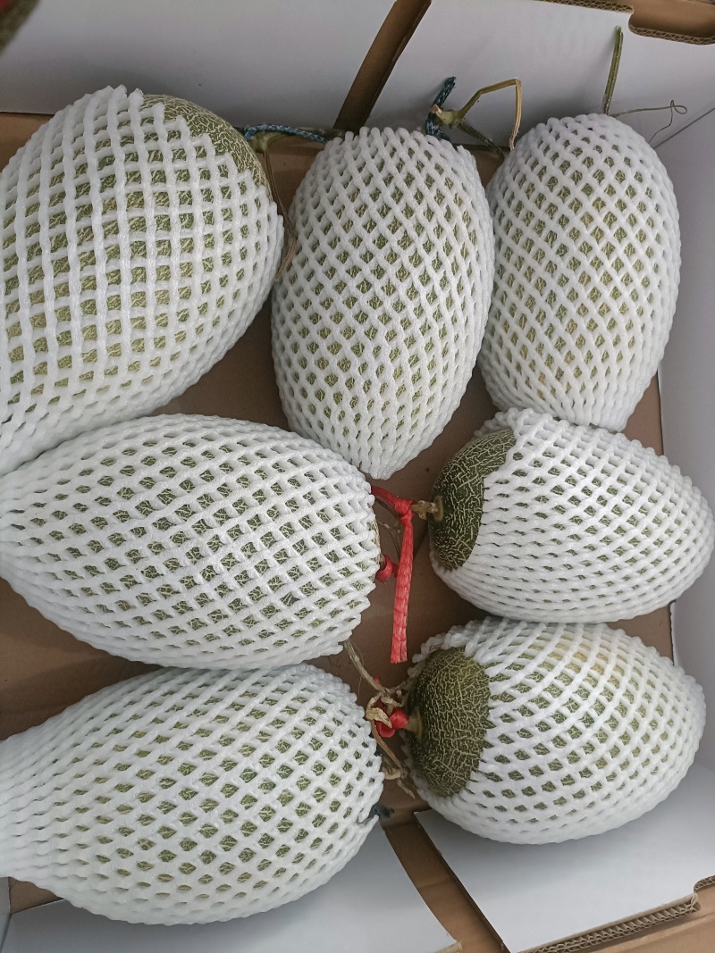新疆哈密瓜精品现货量价优新疆直发