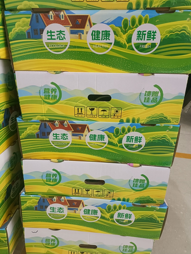 新疆哈密瓜精品现货量价优新疆直发