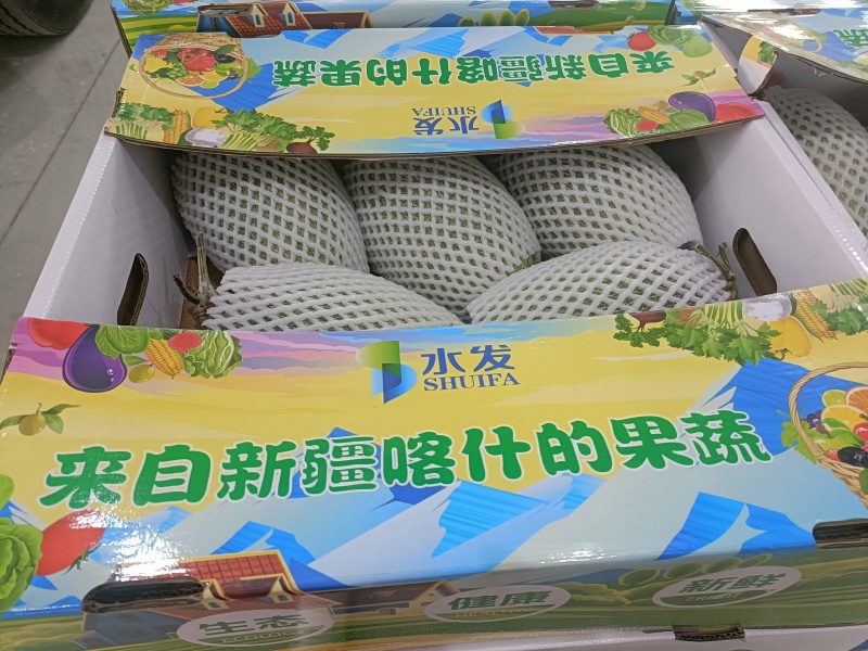 新疆哈密瓜精品现货量价优新疆直发
