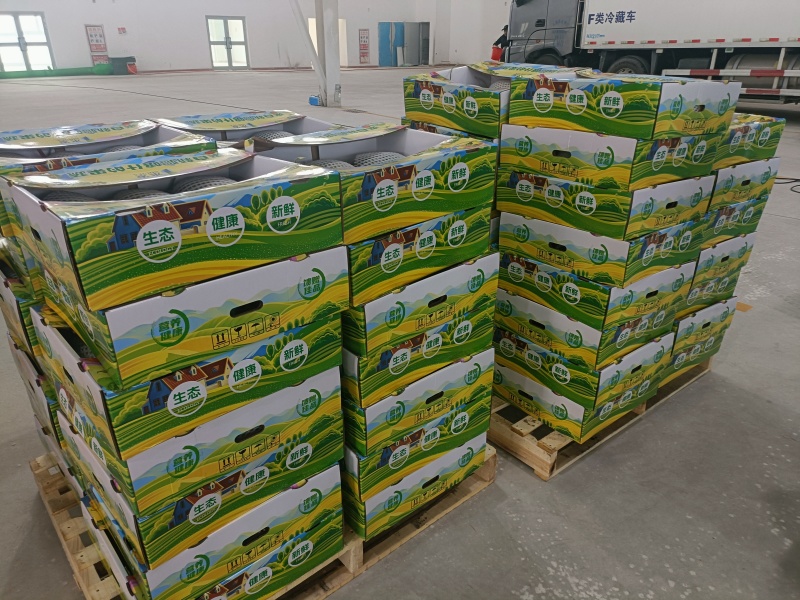 新疆哈密瓜精品现货量价优新疆直发
