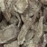 木香各类药材，量大有优势需要的老板放放心下单