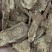 木香各类药材，量大有优势需要的老板放放心下单