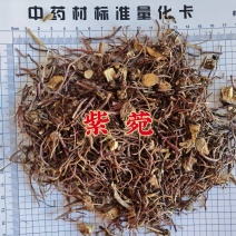 紫菀无硫紫菀新货永发中药材批发零售