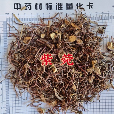紫菀无硫紫菀新货永发中药材批发零售
