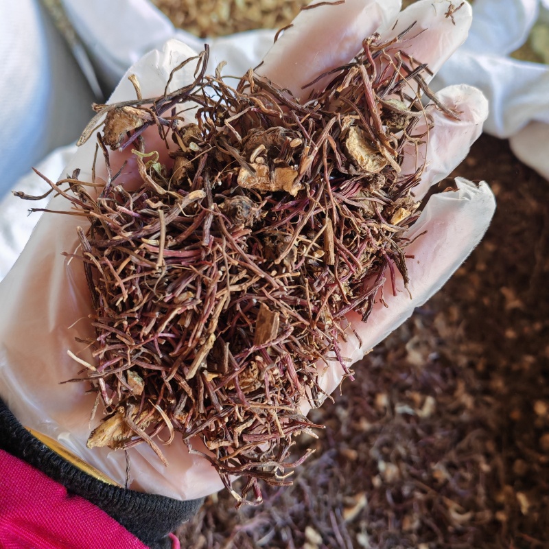 紫菀无硫紫菀新货永发中药材批发零售
