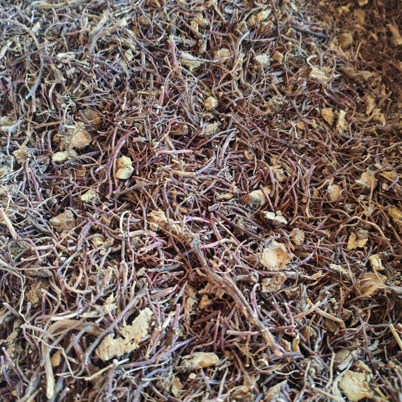 紫菀无硫紫菀新货永发中药材批发零售