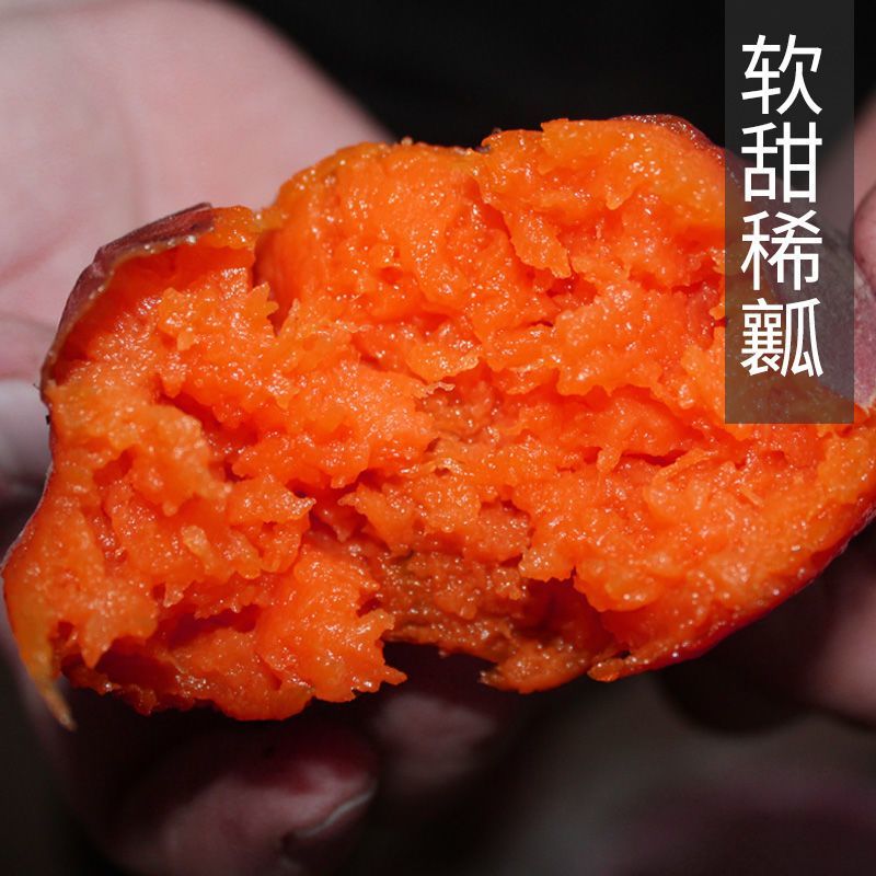 山东蜜薯糖心红薯新鲜带箱9烟薯25号红心烤地瓜产地直销包