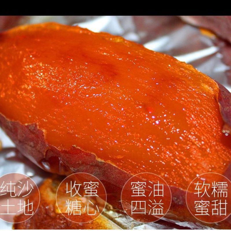 山东蜜薯糖心红薯新鲜带箱9烟薯25号红心烤地瓜产地直销包